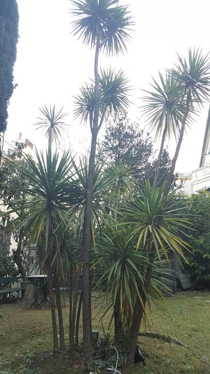 Garden Guest house